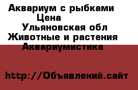 Аквариум с рыбками  › Цена ­ 2 000 - Ульяновская обл. Животные и растения » Аквариумистика   